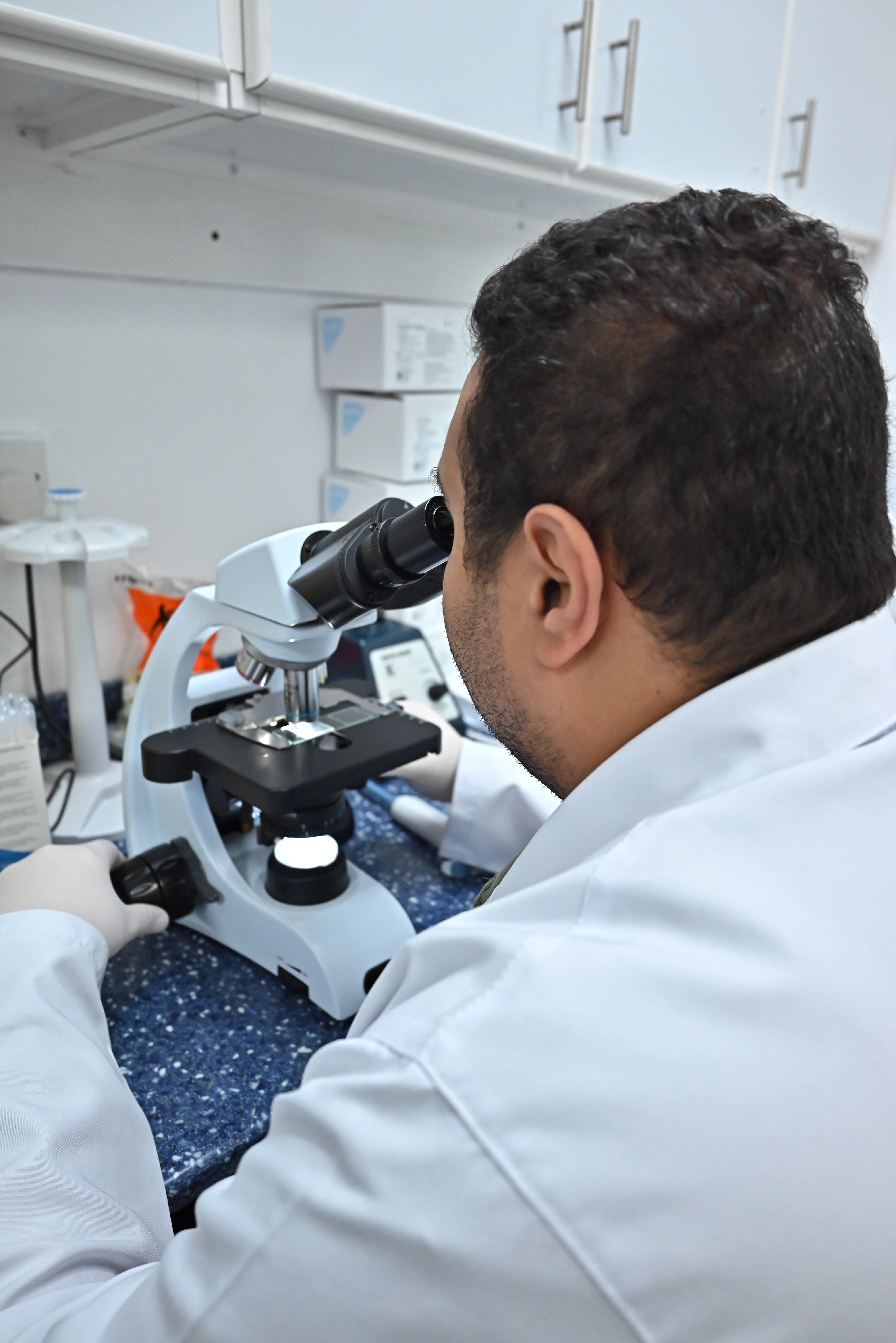 Laboratory